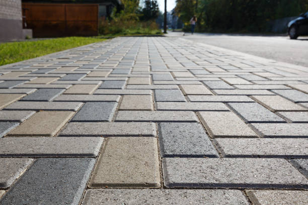Best Driveway Paving Near Me  in Columbus, TX