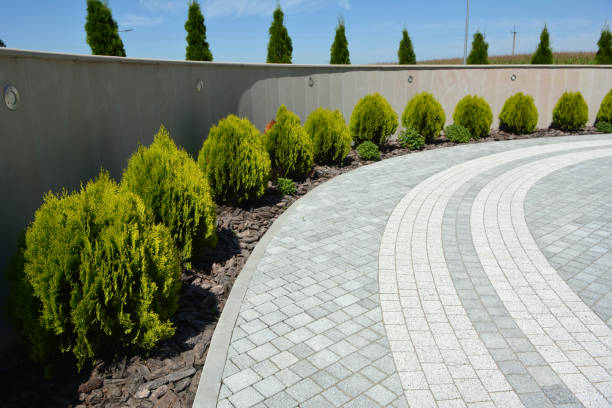 Driveway Repair Near Me in Columbus, TX